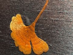 -百富源·海鲜辽菜(张士店)