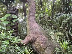 -海南热带野生动植物园