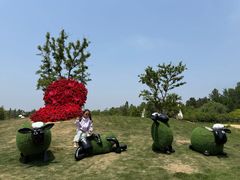 -日照海滨国家森林公园