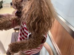 -宠福鑫动物医院(城北分院)