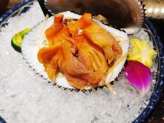 活赤贝-友悦食堂(灯湖店)