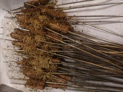 -沿海405烤场(沿海赛洛城店)