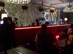 -罗斯福色戒酒吧(外滩店)