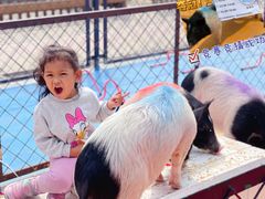 -太阳岛度假酒店