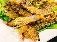 白灼斑节虾-金龙·打边炉(南京西路店)