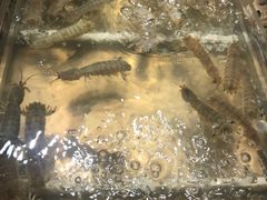 -诱货海鲜自助火锅(爱琴海购物公园东百店)