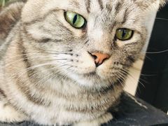 -平行世界·猫咖(首经贸店)