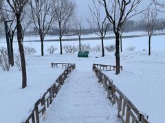 -东郊湿地公园