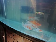 -佳明游泳馆(惠新西街南口店)