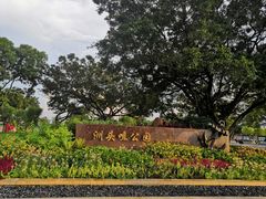 -洲头咀公园