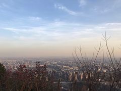 -杭州半山国家森林公园