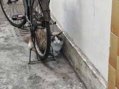 -柴油机1959创意园(IF1959文创园)