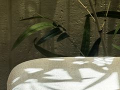-戴记糖坊(西马路店)