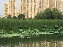 -前关湿地公园