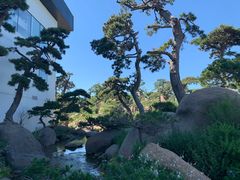 -罗红摄影艺术馆