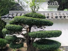-北宫国家森林公园