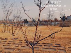 -象湖生态湿地公园