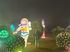 -荷兰花海