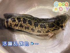 -老四川平头酸菜鱼(衙前店)