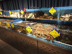 -韩记海鲜饺子旗舰店(红海新区店)