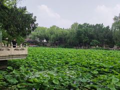 -莲池书院博物馆