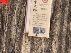 -曲阜师范大学(曲阜校区)