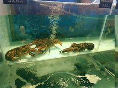 -东南里湖景餐厅·新闽菜(浦西万达店)