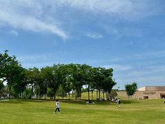 -盘龙城国家考古遗址公园