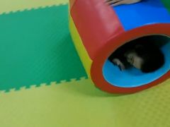 -能量小象·感统·专注力·语言(崂山校区)