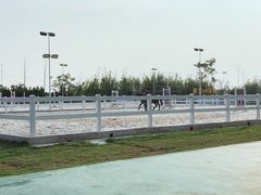 -上海崇明金茂凯悦酒店