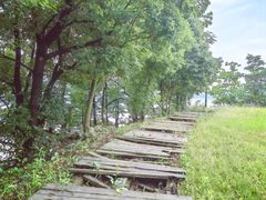 -四明湖