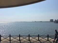 -碧海金沙