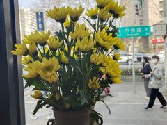 -囿面传统制面馆(中央路店)