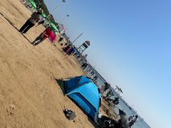 -碧海金沙