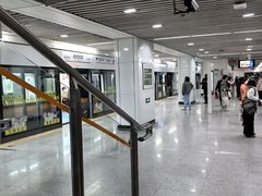 -杨高南路(地铁站)