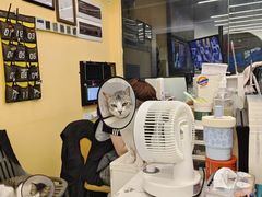 -谜盒子奇幻密室(南屏店)
