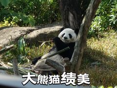 -南宁市动物园