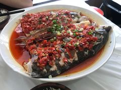 剁椒蒸鱼头-新新湘菜馆(新中街二条店)