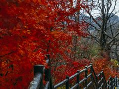 -崂山九水游览区