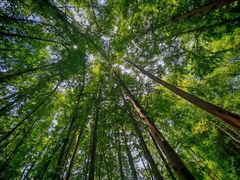 -桤木河湿地公园