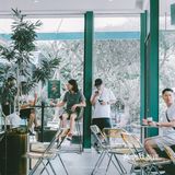 东莞探店丨咖啡鲜森 Coffee·C3丨绿色记忆的咖啡店
