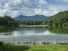 -福建鲤鱼洲酒店