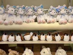 -深圳湾万象城(南山店)