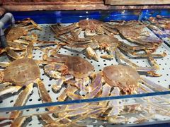 -开海·红岛海鲜虾水饺(石老人店)