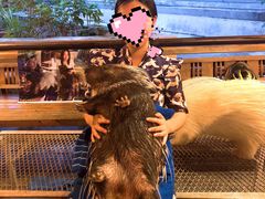 -清迈夜间动物园