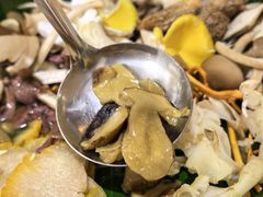 -野菌王•养生汤锅•野生菌火锅(大理漾濞路店)