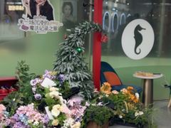 -海马体照相馆(北京apm店)