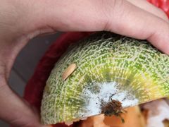 -红星农博物流中心