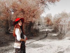 -木垒胡杨林