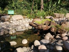 -成都市活水公园